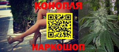 амф Гай