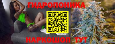 гашик Абакан