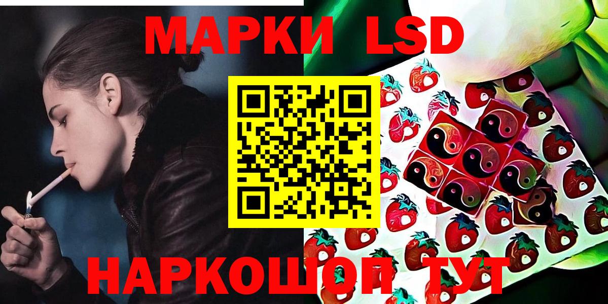 ГАШИШ  A PVP СК кристаллы  Мефедрон кристаллы  КОКАИН  ЭКСТАЗИ  Меф МЯУ МЯУ   МЕТАМФЕТАМИН  МАРИХУАНА  Новозыбков  Купить закладку 