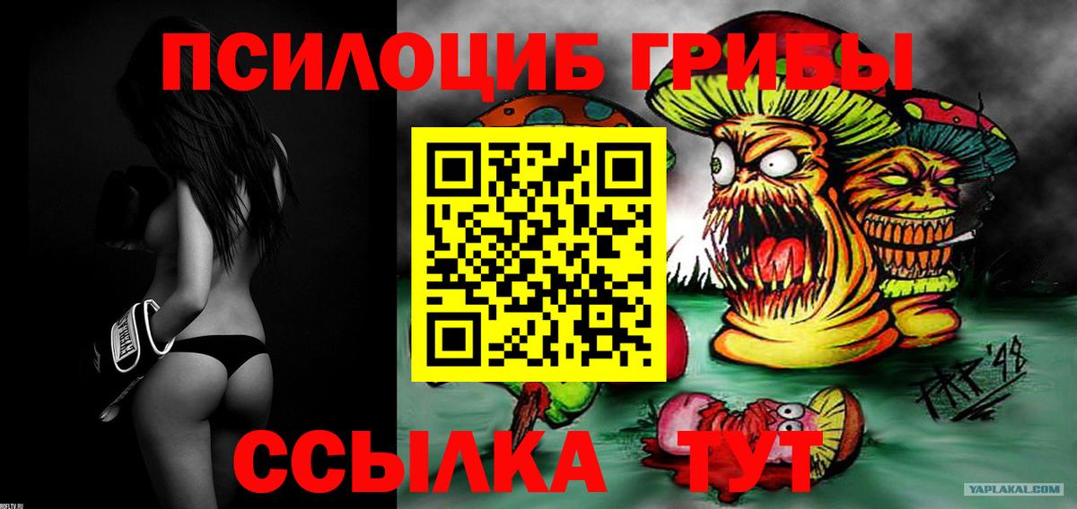 Галлюциногенные грибы MAGIC MUSHROOMS Новозыбков