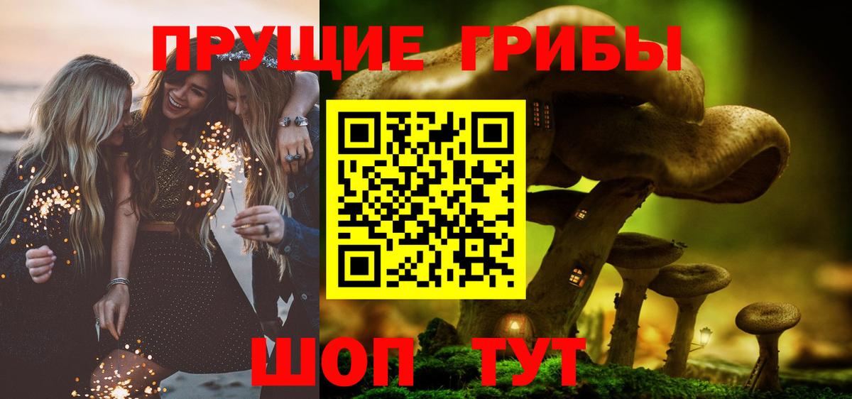 Галлюциногенные грибы Cubensis  Вход с VPN  Галлюциногенные грибы Psilocybe  Новозыбков 