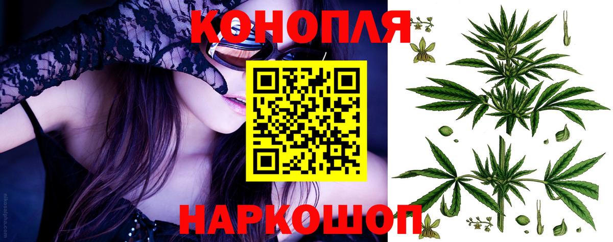 Каннабис индика  Новозыбков  Марихуана OG Kush  Каннабис гибрид 