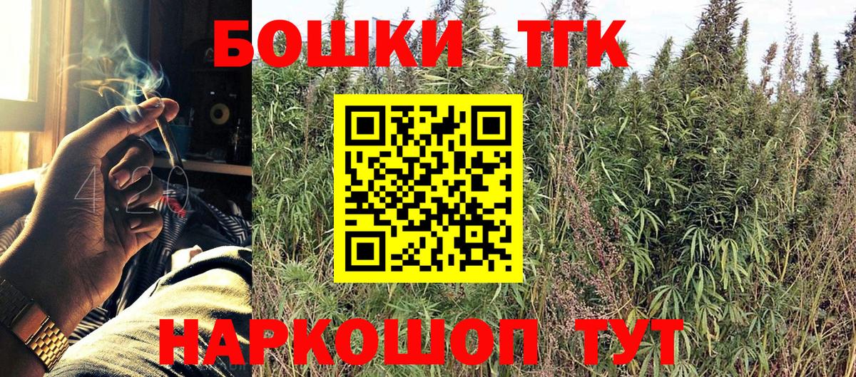 Новозыбков  Бошки Шишки план  Бошки Шишки конопля  Вход с VPN 